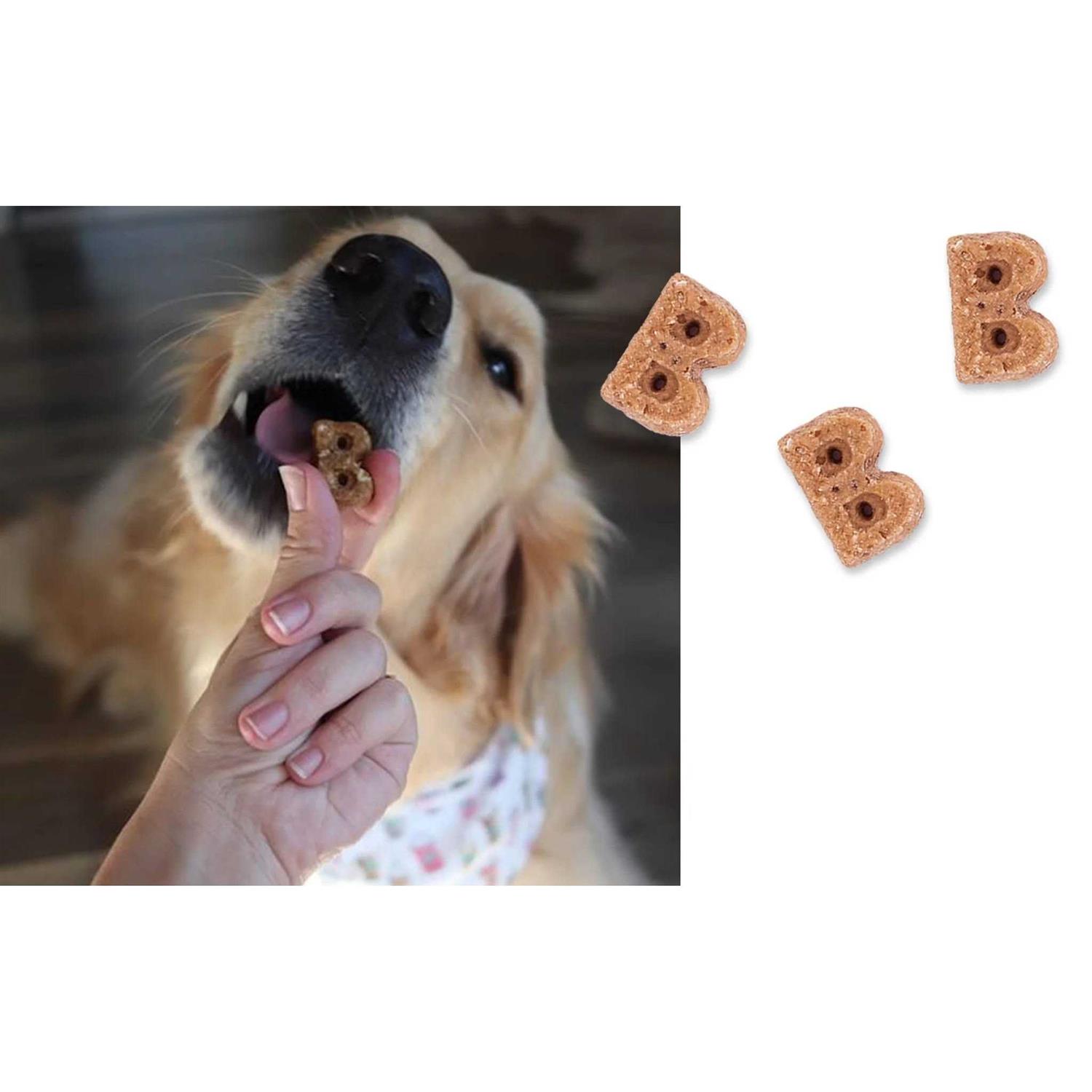 Alternative view of Bocce's Bakery Berry Sorbet Soft & Chewy Dog Treats