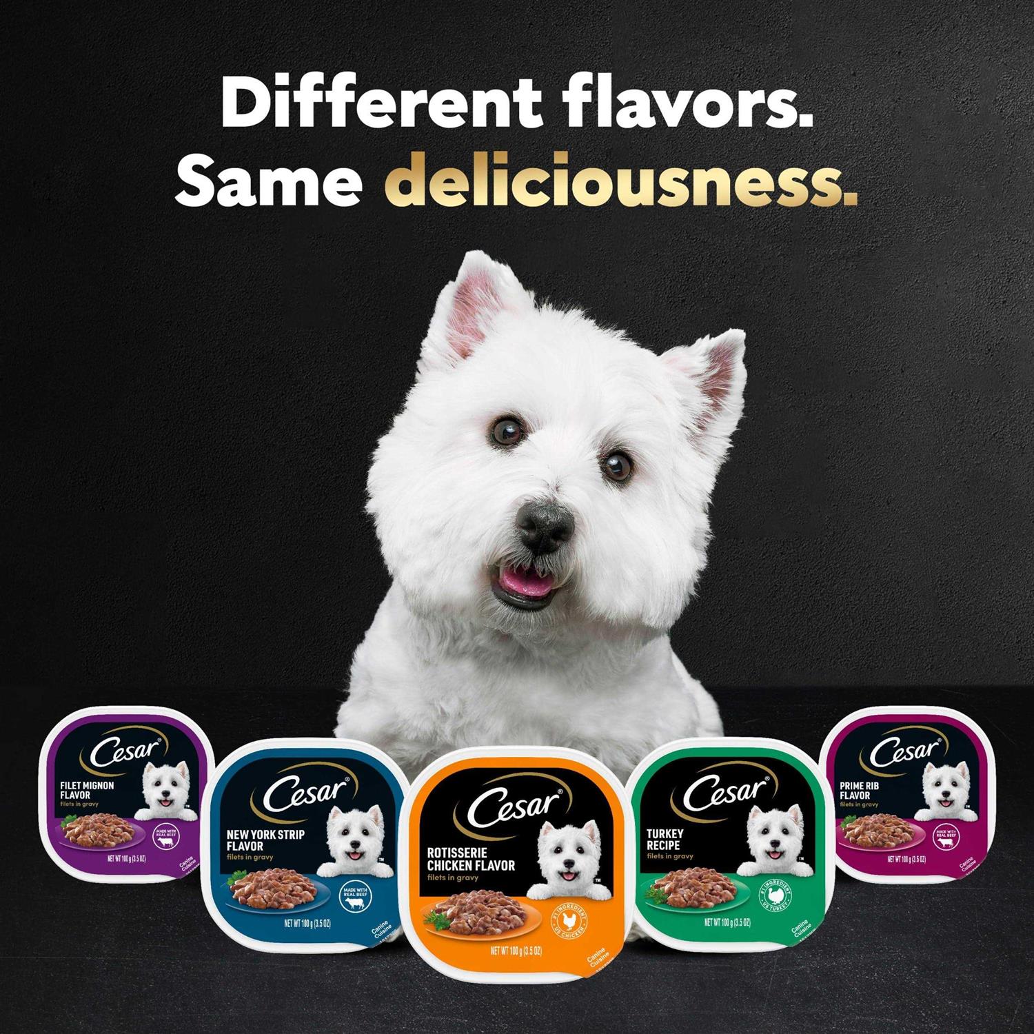 Alternative view of Cesar Filets in Gravy Variety Pack Wet Dog Food Adult