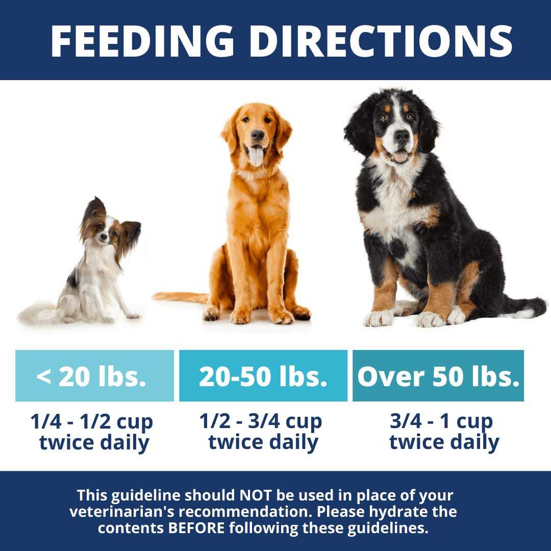 Alternative view of Under the Weather Chicken Rice & Pumpkin Freeze-Dried Bland Diet for Dogs