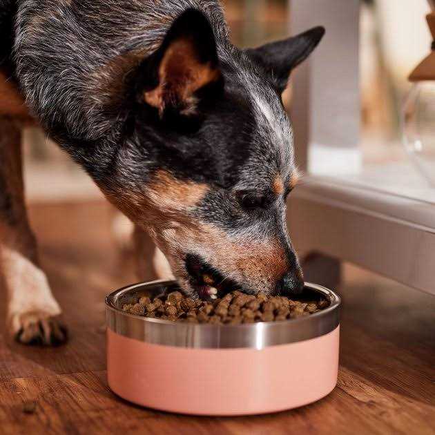 Alternative view of Country Vet Naturals Butcher Shop Blend Dog Food