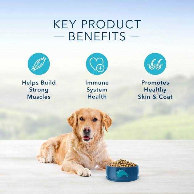 Alternative view of Blue Buffalo Life Protection Formula Healthy Weight Small Breed Adult Chicken & Brown Rice Recipe Dry Dog Food