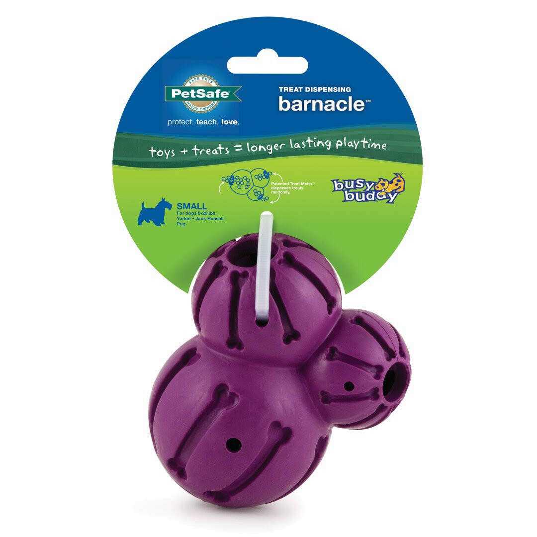 Alternative view of Busy Buddy Barnacle