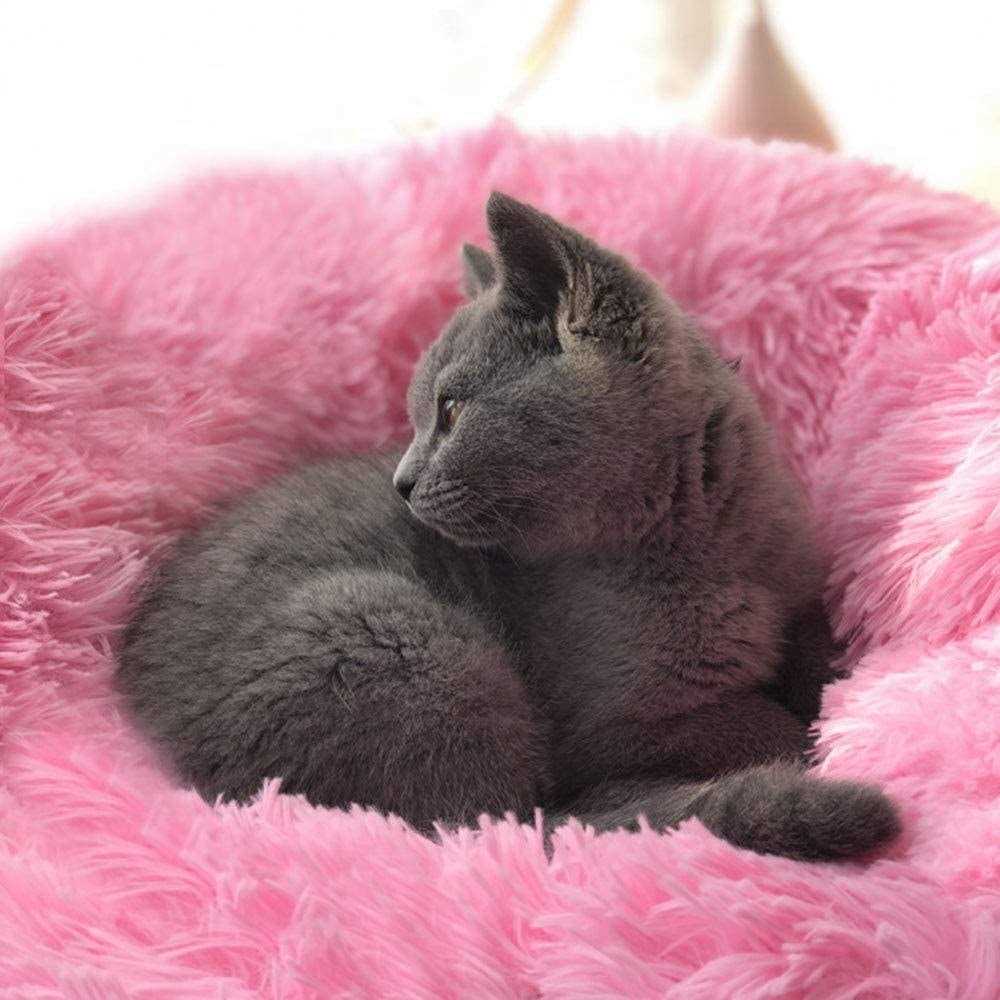 Alternative view of BODISEINT Modern Soft Plush Round Pet Bed for Cats or Small Dogs Mini Medium Sized Dog Cat Bed Self Warming Autumn Winter Indoor