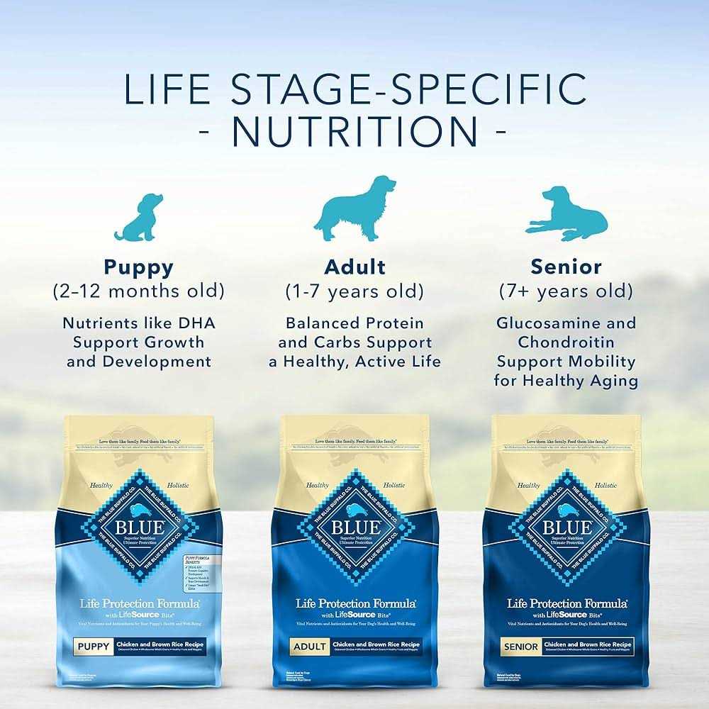 Alternative view of Blue Buffalo Life Protection Formula Beef & Brown Rice Adult Dry Dog Food