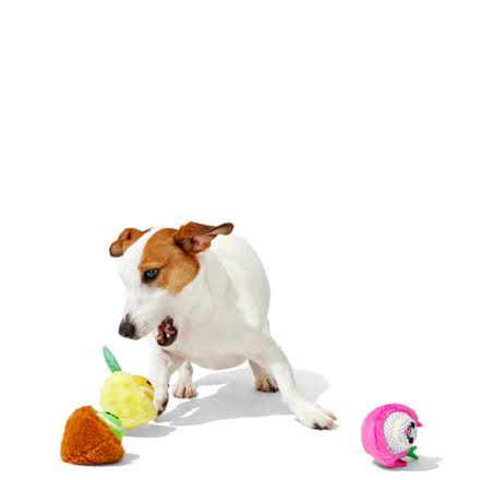 Alternative view of Barkbox Fruity Cutie Tropical Trio Dog Toys Squeaker Ball Toys