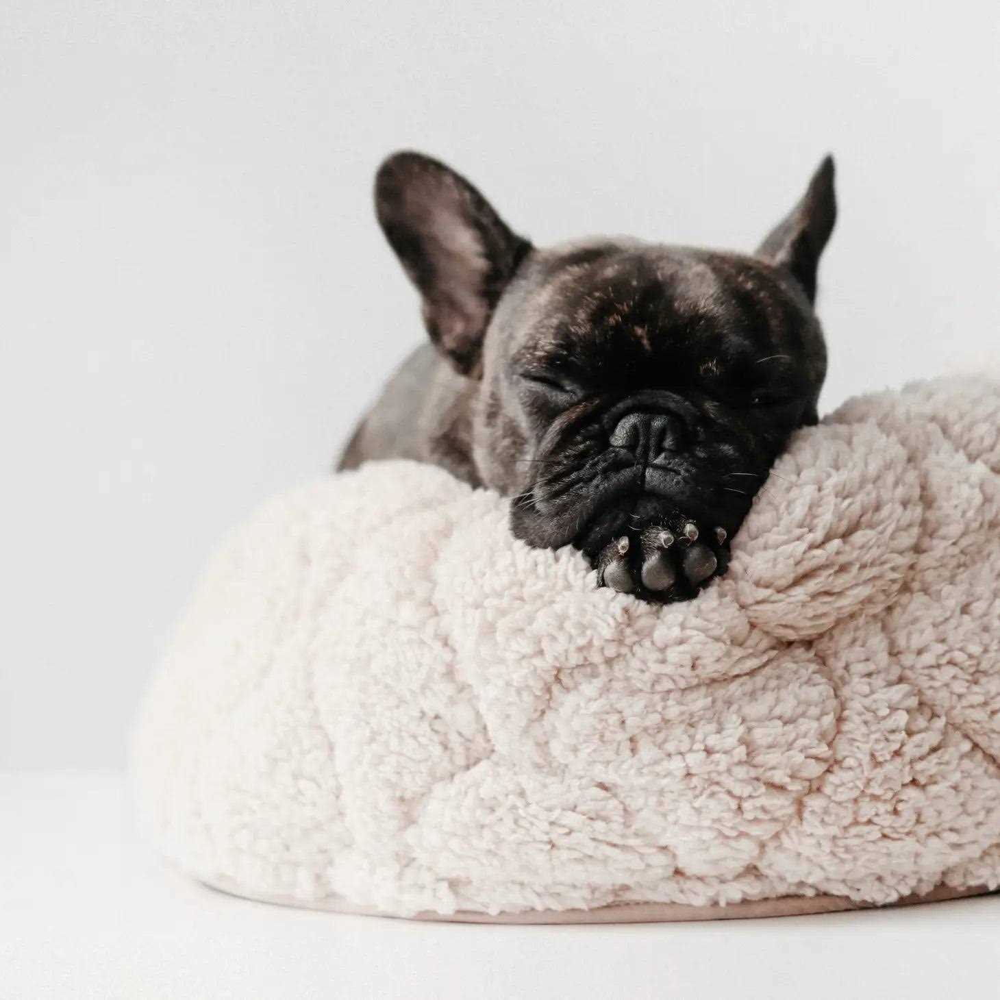 Lambwolf Collective Reversible Donut Pet Bed