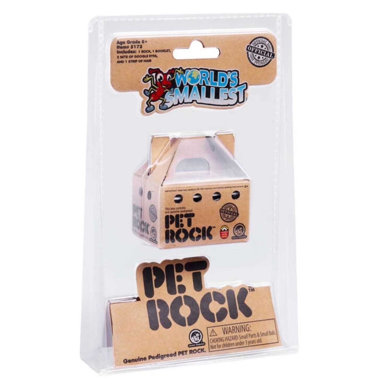 World's Smallest Pet Rock