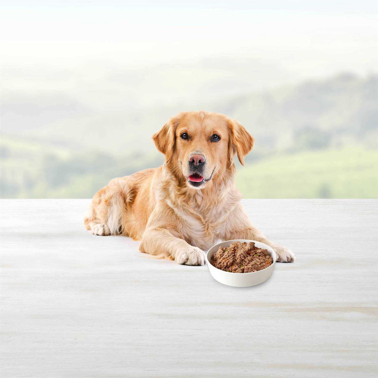 Alternative view of Blue Buffalo Homestyle Recipe Turkey Meatloaf Dinner Wet Dog Food