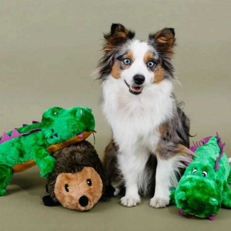 ZippyPaws Hedgehog Dog Toy