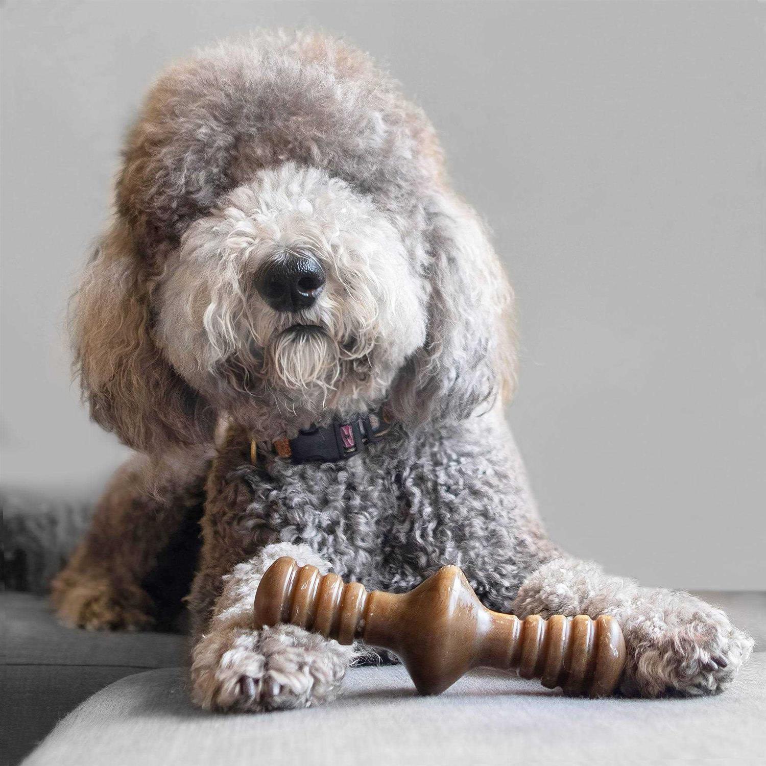Alternative view of Benebone Chicken Zaggler Dog Chew Toy