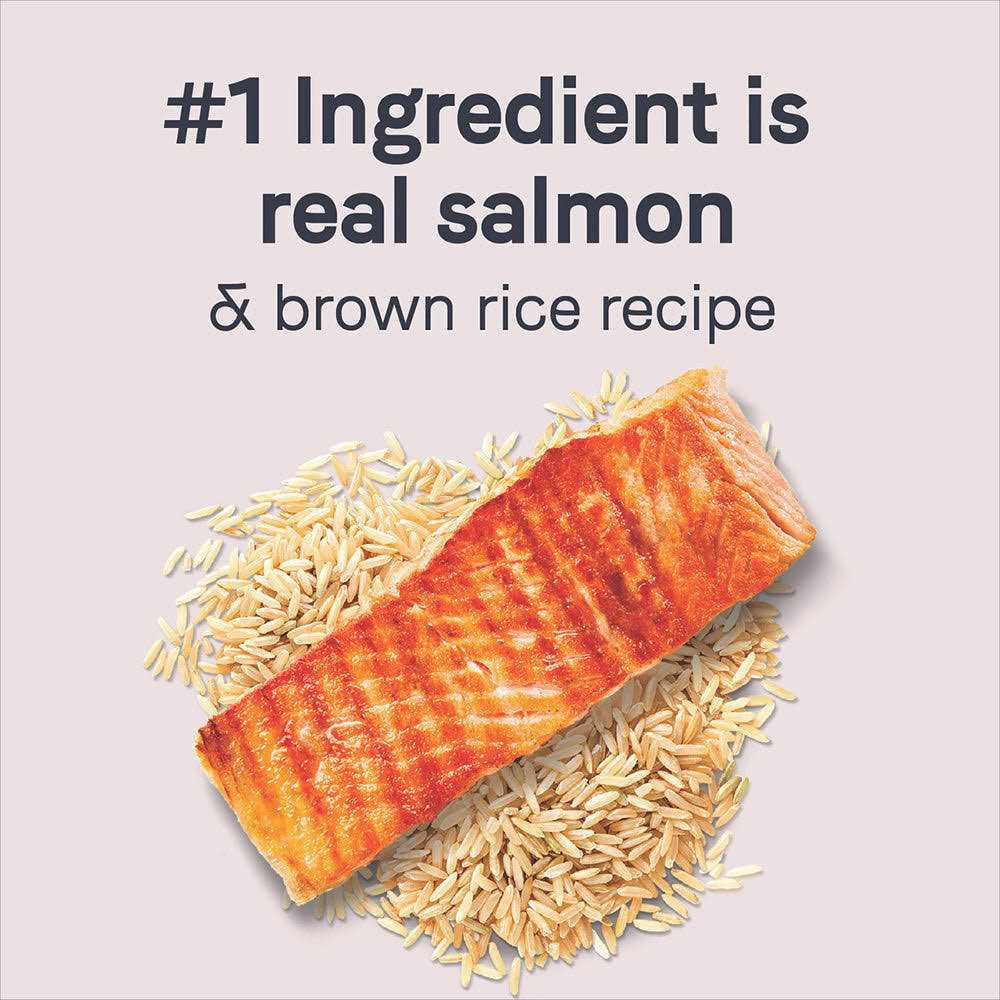 Alternative view of Canidae Goodness Adult Salmon & Brown Rice Dry Dog Food
