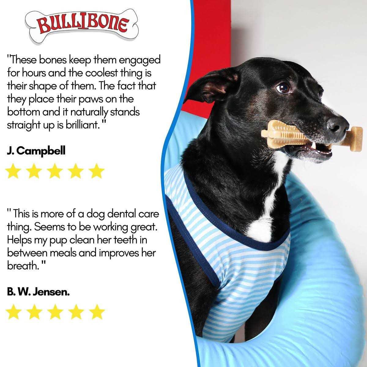 Alternative view of Bullibone SuperBrush Dog Teeth Cleaning Brushing Toothbrush Stick Long Lasting Nylon Chew Toy for Oral Care