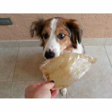 Alternative view of Bingo Free Range Buffalo Ears for Dogs