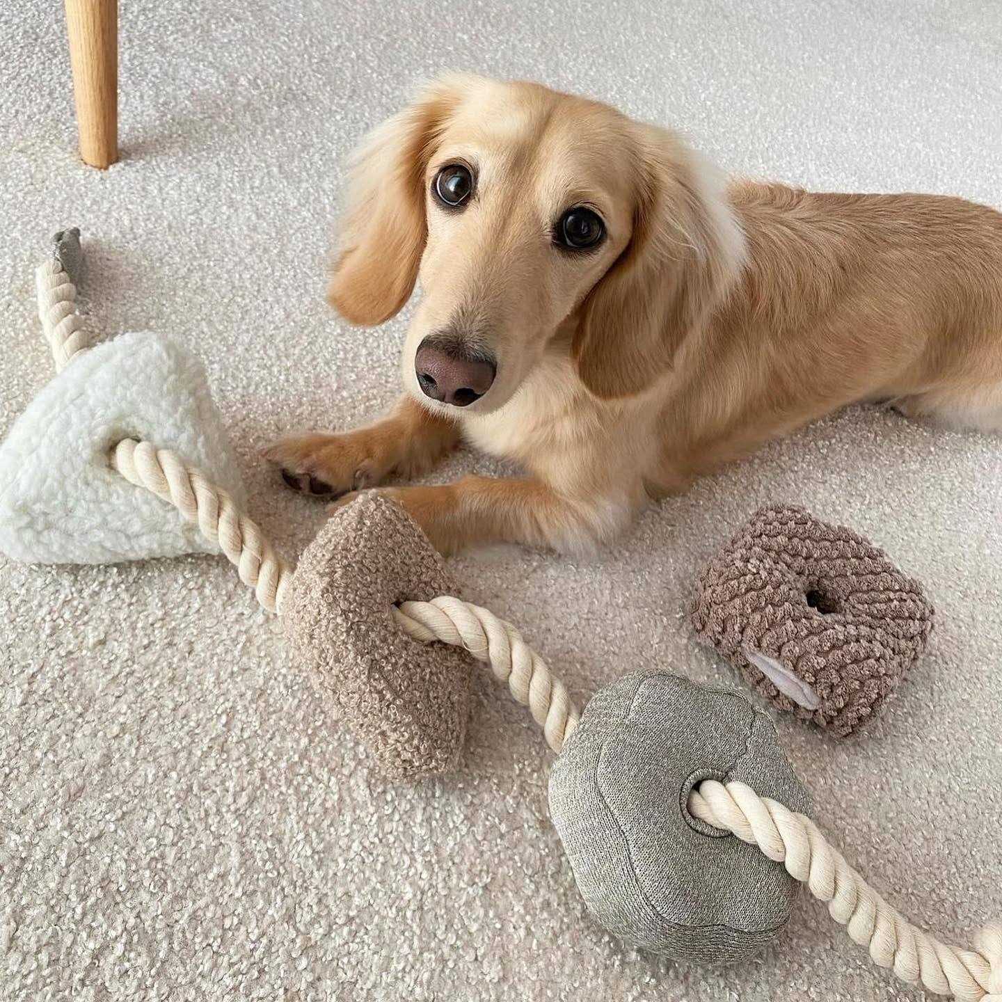 Alternative view of Blocs Enrichment Dog Toy