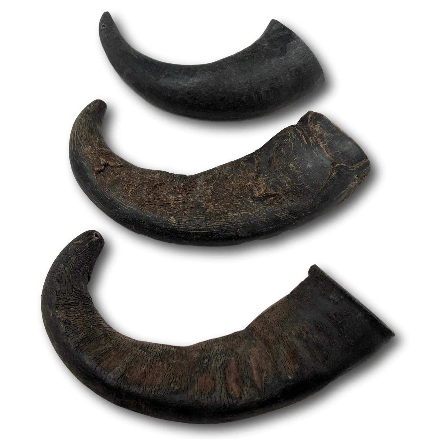 Alternative view of Top Dog Chews Natural Water Buffalo Horns Dog Treats