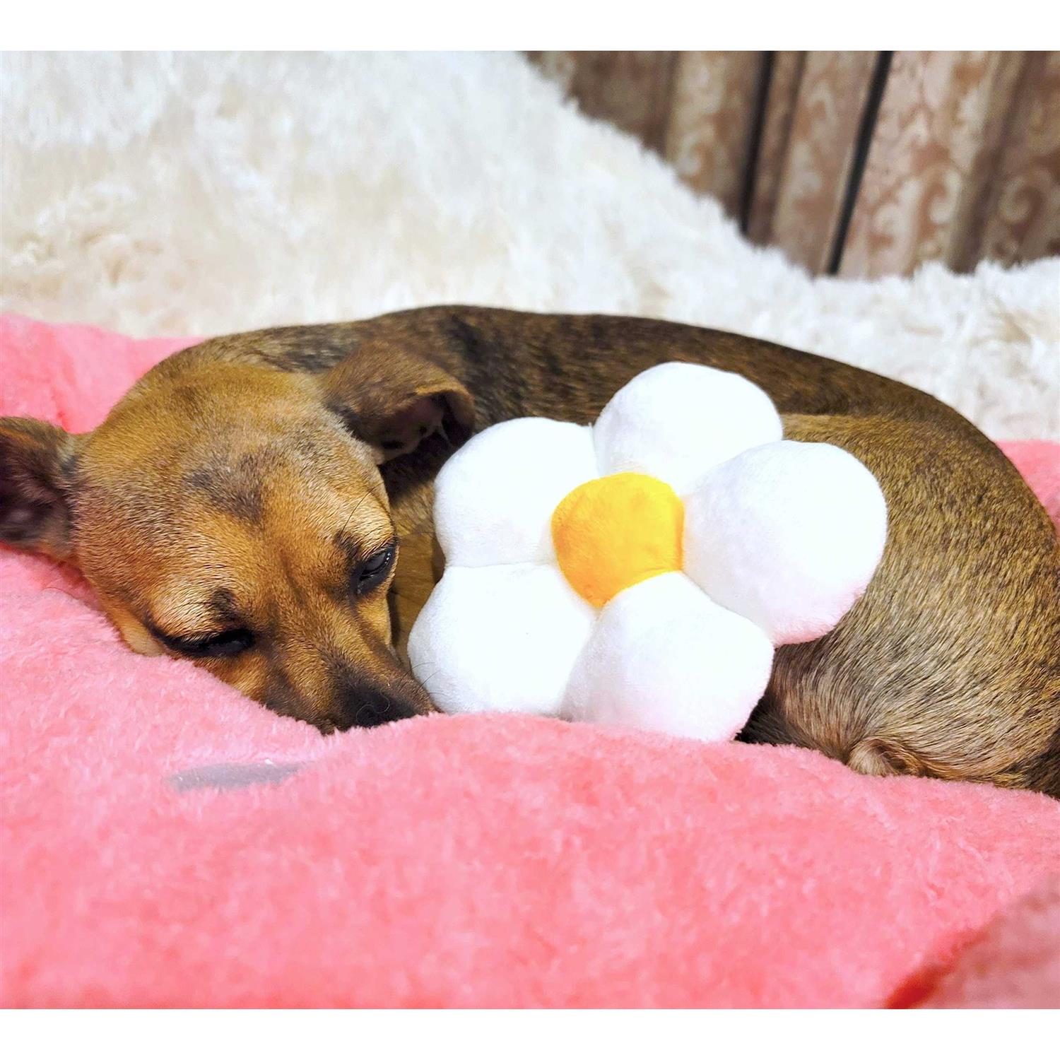 Alternative view of TONBO Soft Plush Small Cute and Cozy Food Dog Cat Bed, Washer and Dryer Friendly