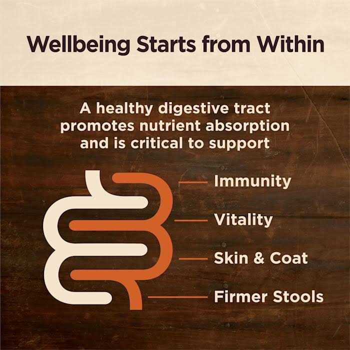 Alternative view of Wellness Core Digestive Health Beef Grain Free Wet Dog Food