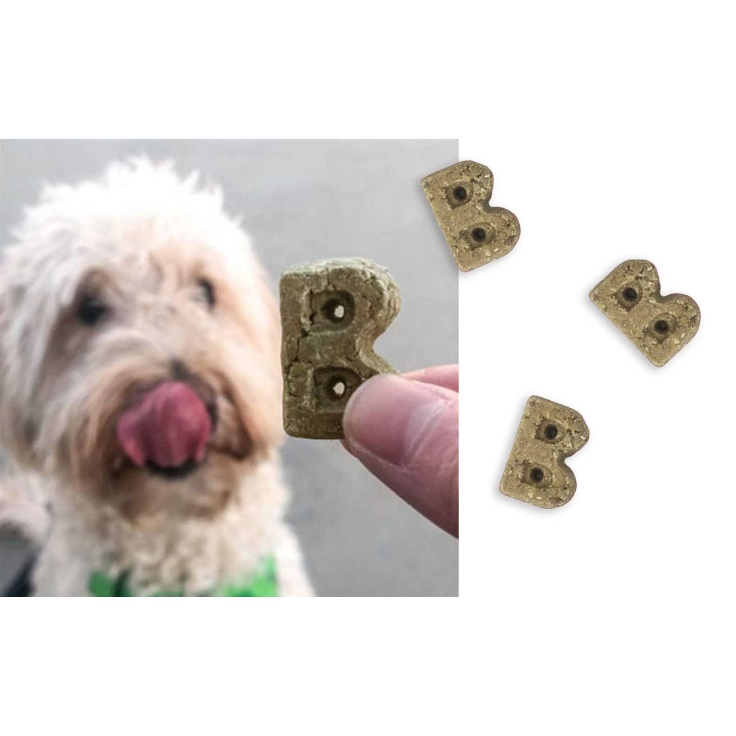 Alternative view of Bocce's Bakery Brushy Bites Soft & Chewy Dog Treats