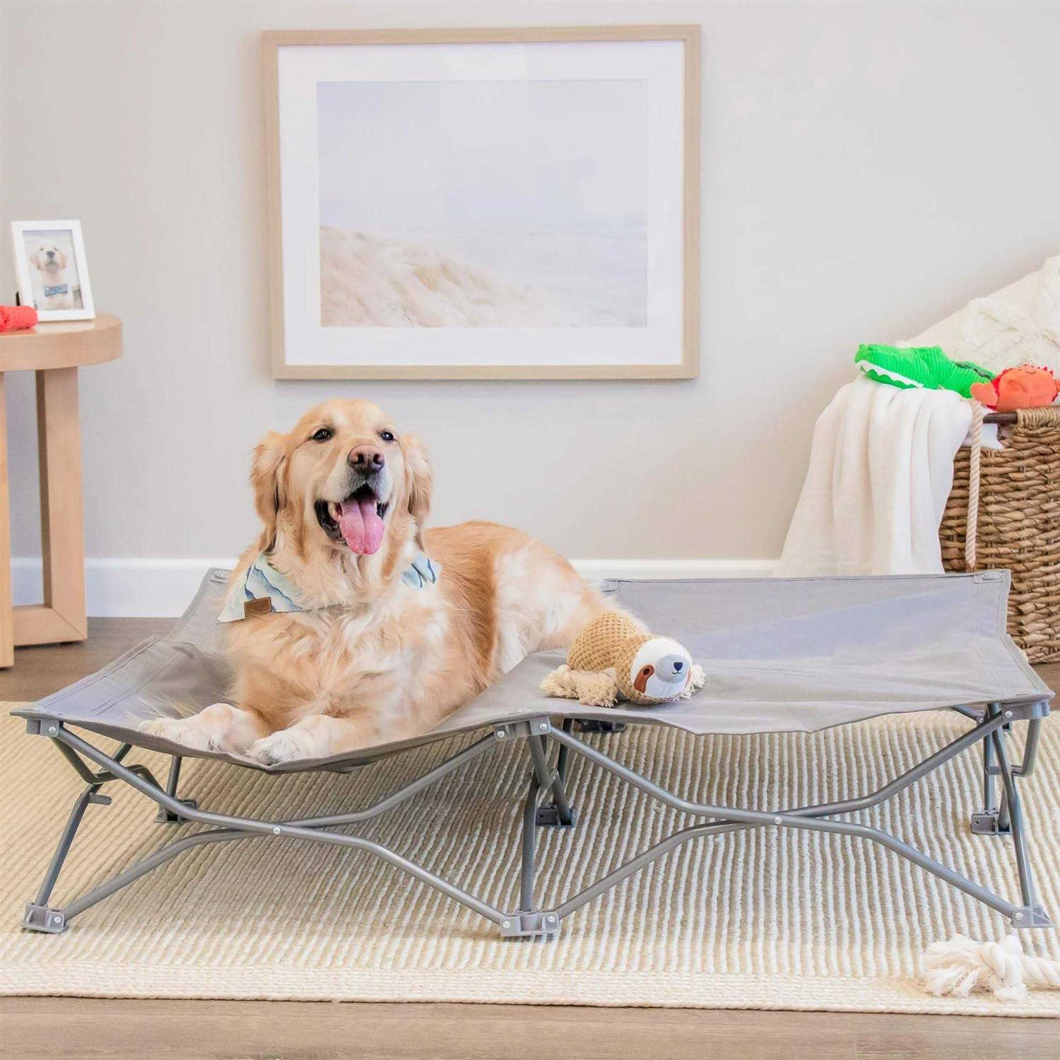 Carlson Pet Products Portable Pup Pet Bed