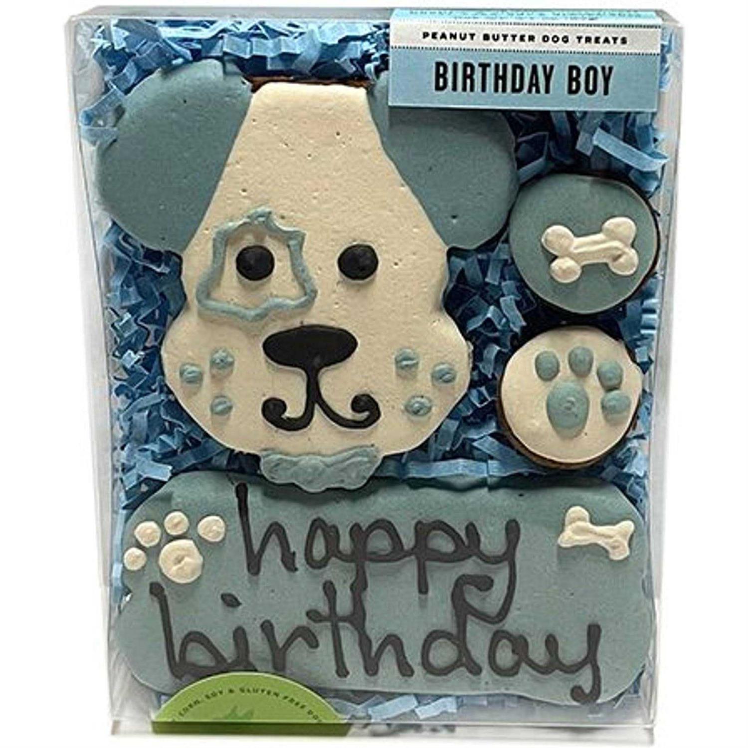 Bubba Rose Biscuit smbboy Birthday Boy