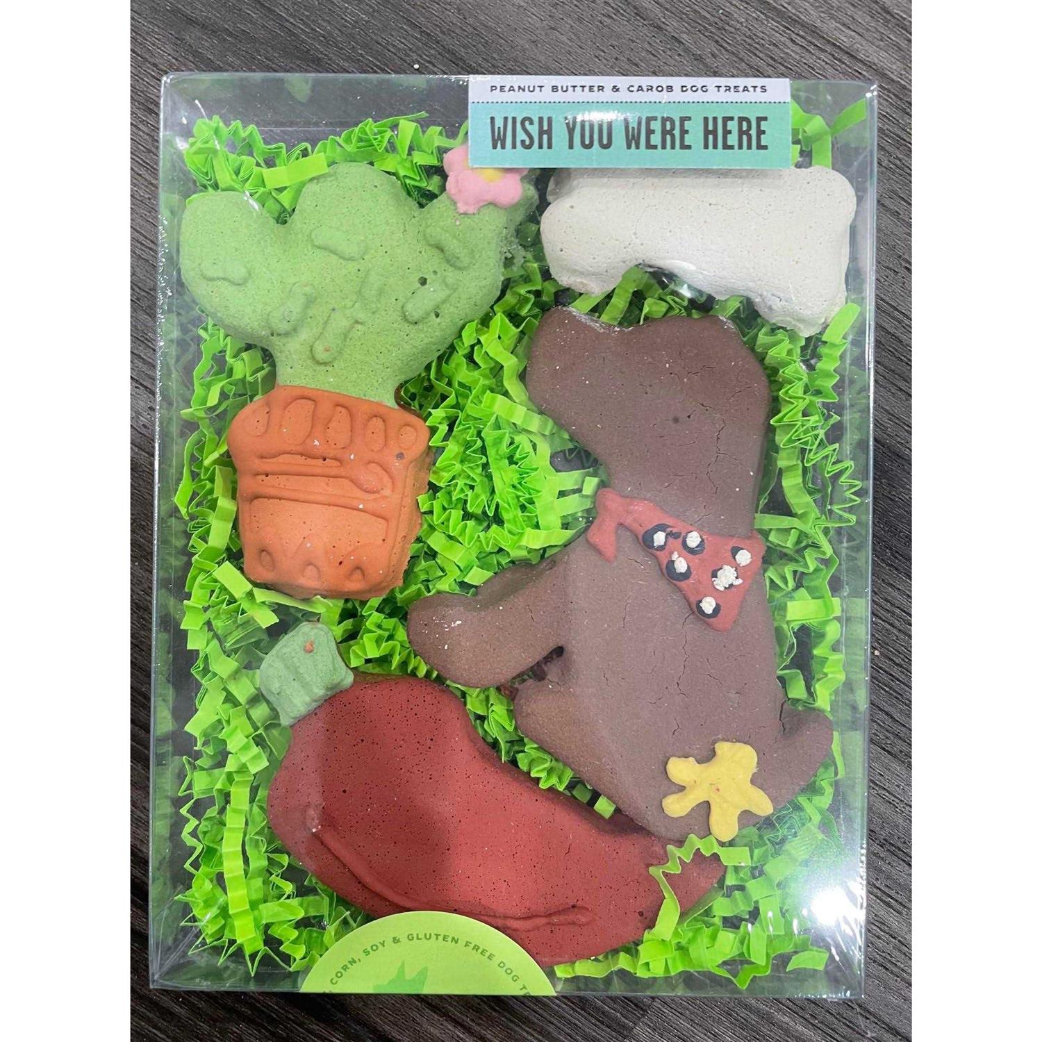 Alternative view of Bubba Rose Biscuit smbboy Birthday Boy