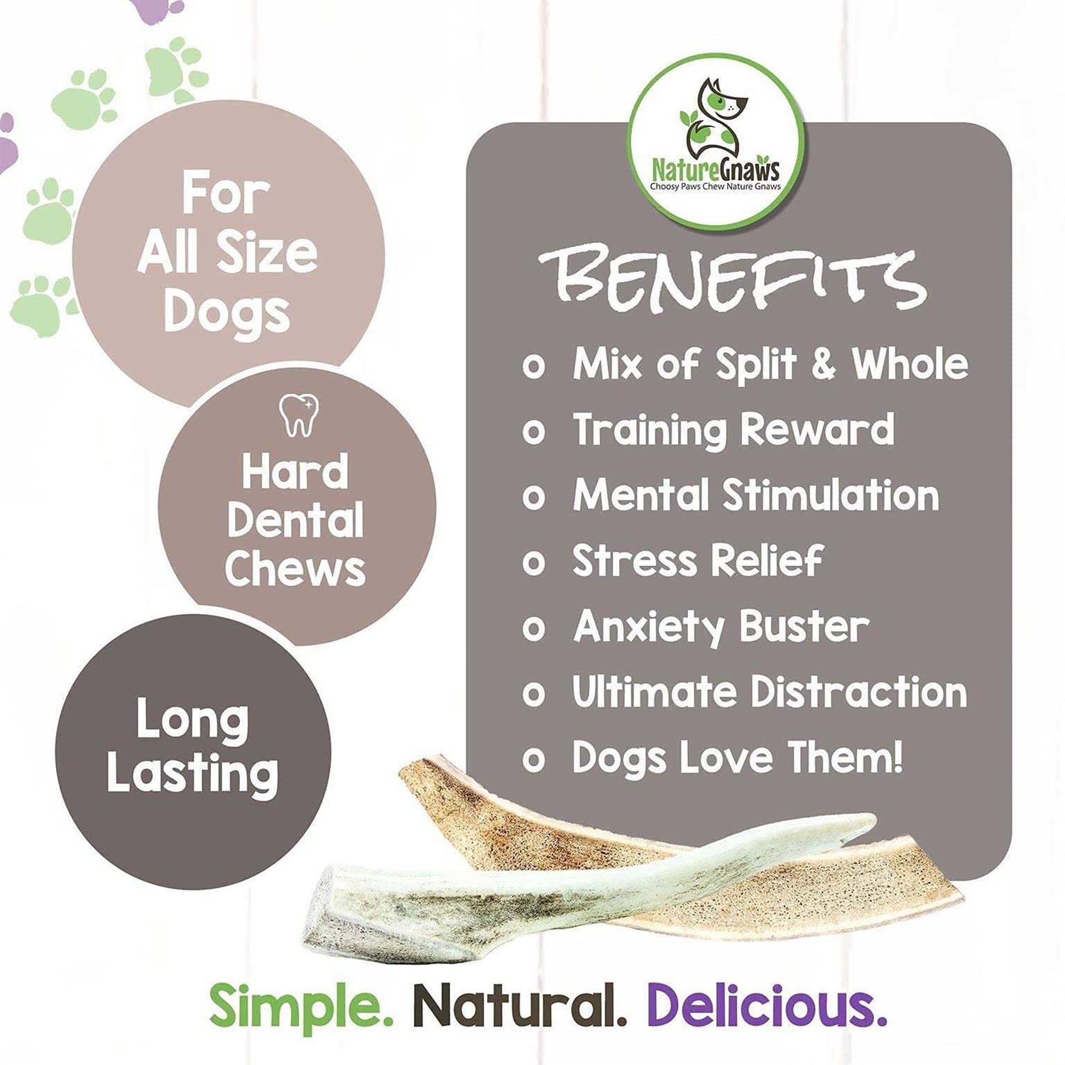 Alternative view of USA Deer Antlers for Small Dogs | Natural Dog Treats | Nature Gnaws