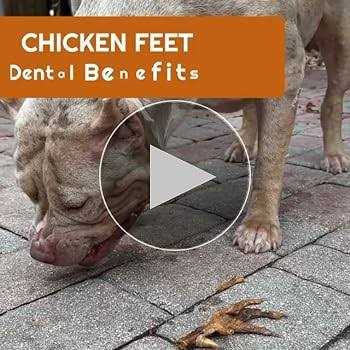 Alternative view of Amazing Dog Treats Chicken Feet Grade A Chicken Feet