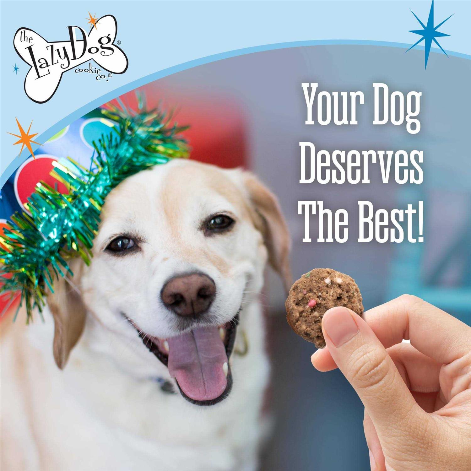Alternative view of The Lazy Dog Cookie Co. Birthday Cake Bites Dog Treats