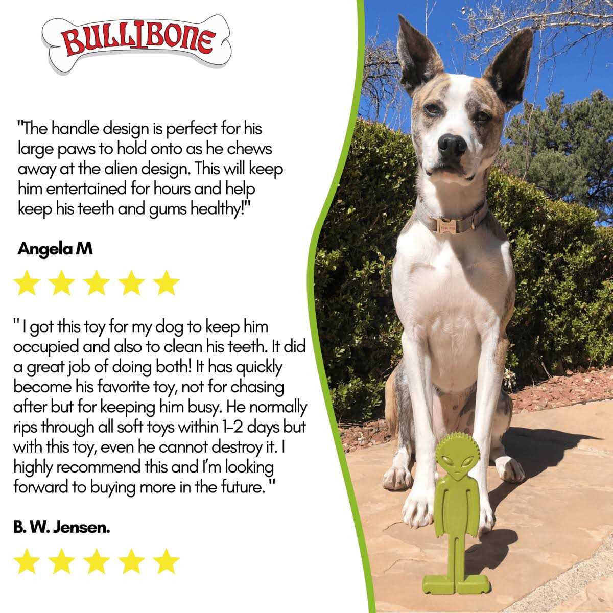 Alternative view of Bullibone Small Alien Bone Dog Chew Toy for Small Dogs With Easy Hold Grips