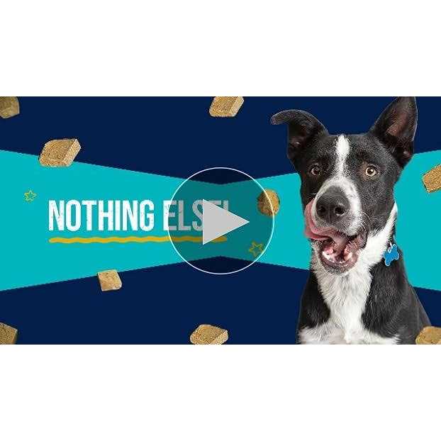 Alternative view of Stewart Chicken Freeze Dried Dog Treats