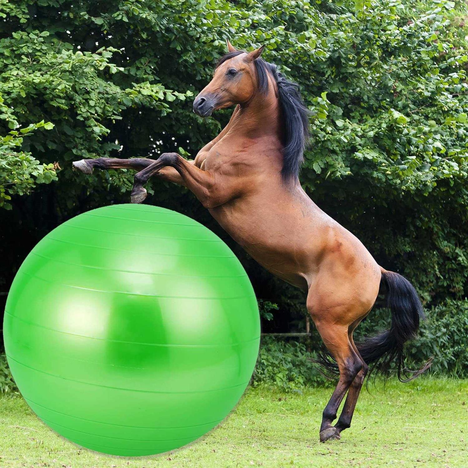 Alternative view of capuca Large Horse Balls for Play 30 Inch Anti-Burst Mega Herding Ball Giant Horse for Dogs Goats Horses to Play with Pump
