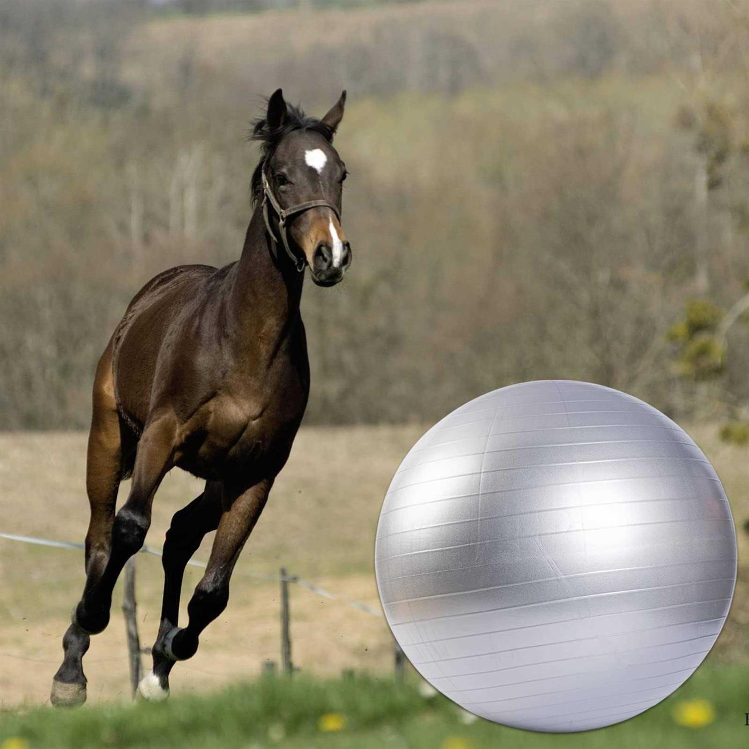 Alternative view of capuca Large Horse Balls for Play 30 Inch Anti-Burst Mega Herding Ball Giant Horse for Dogs Goats Horses to Play with Pump
