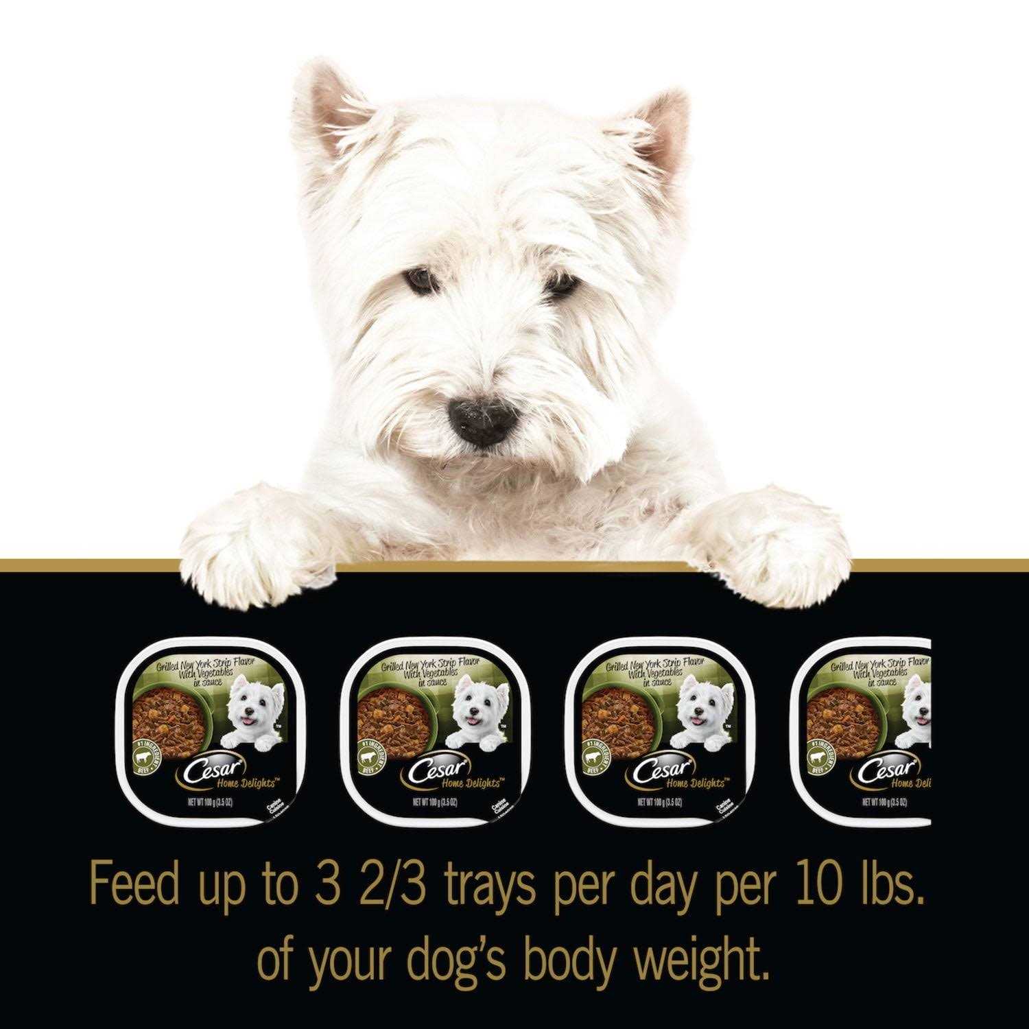 Alternative view of Cesar Home Delights Vegetables Dog Food