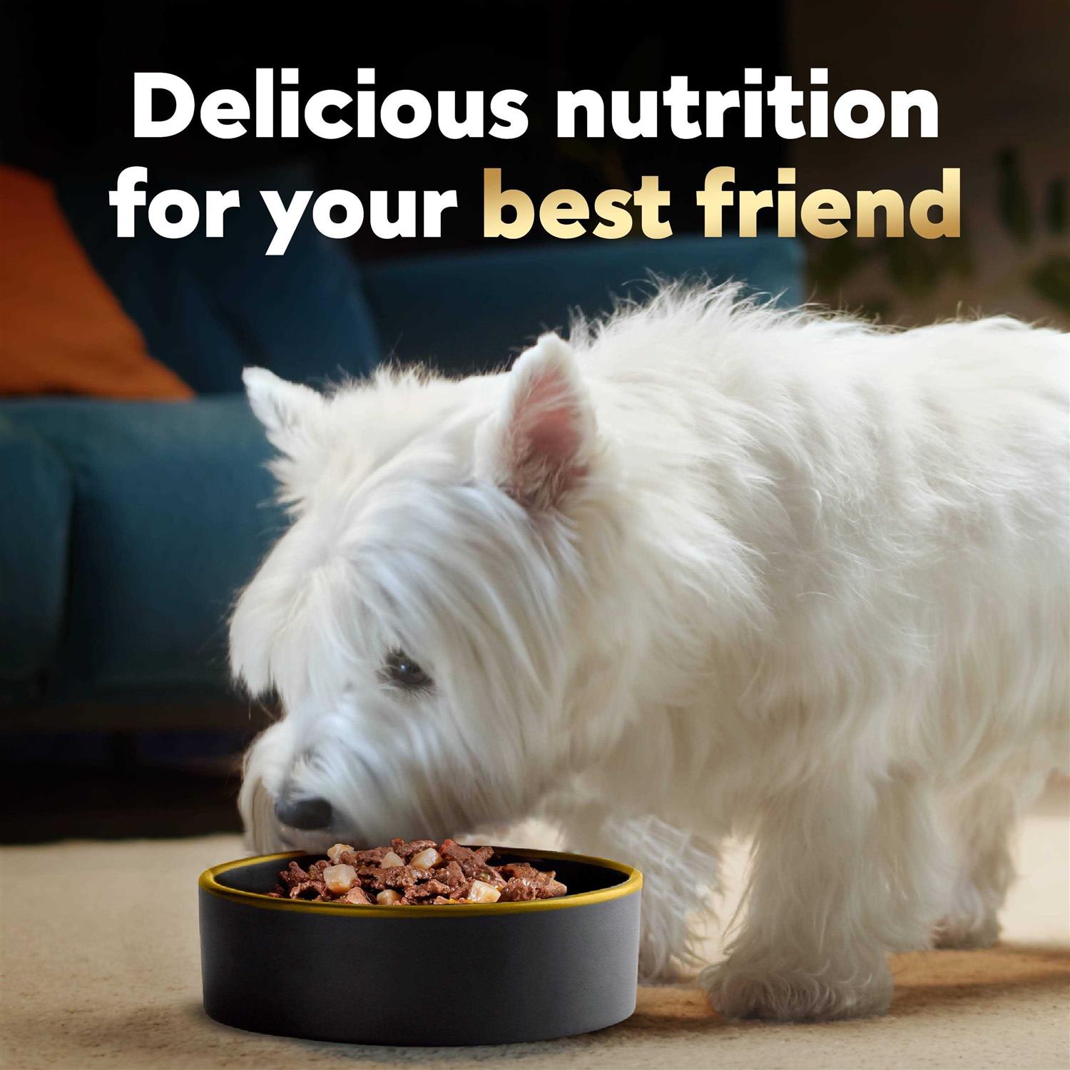 Alternative view of Cesar Home Delights Vegetables Dog Food