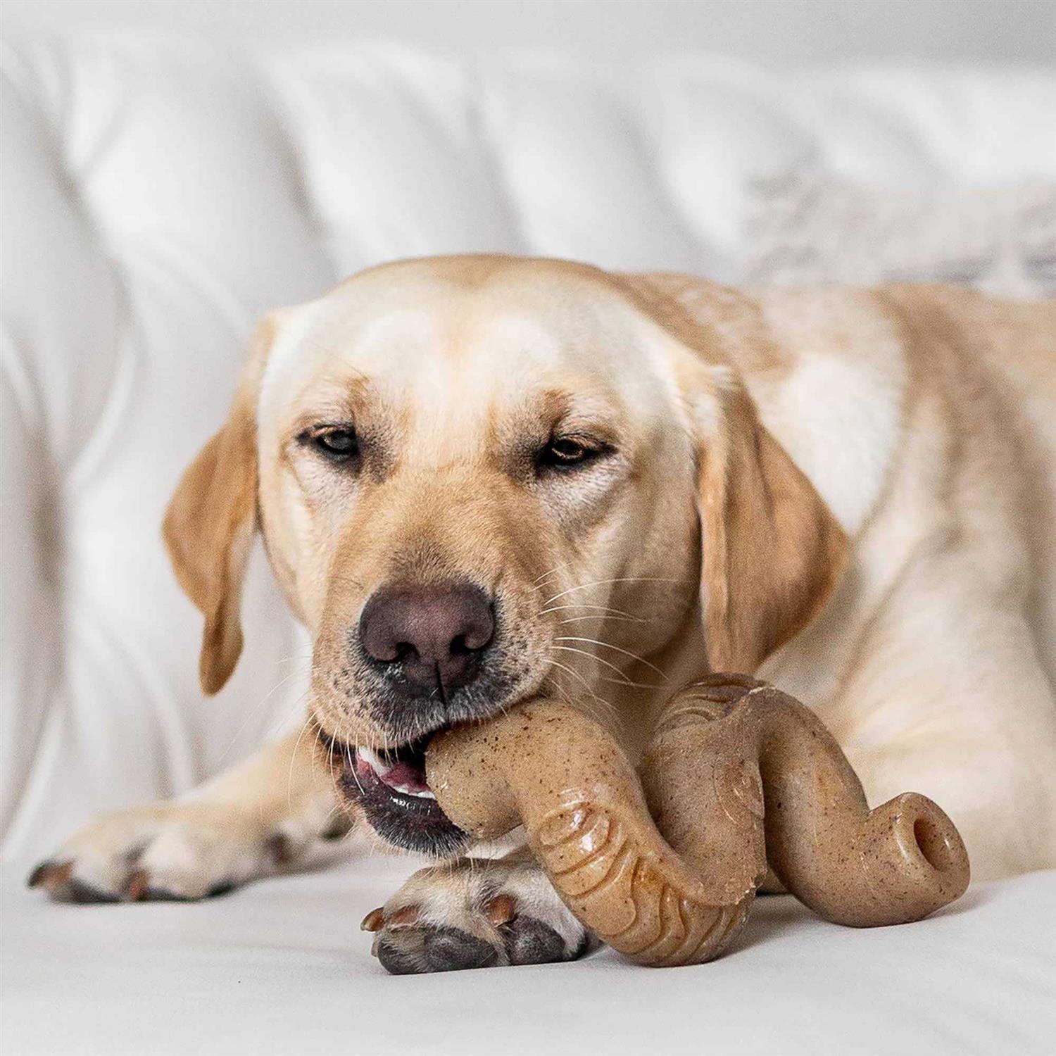 Alternative view of Benebone Tripe Bone Dog Chew