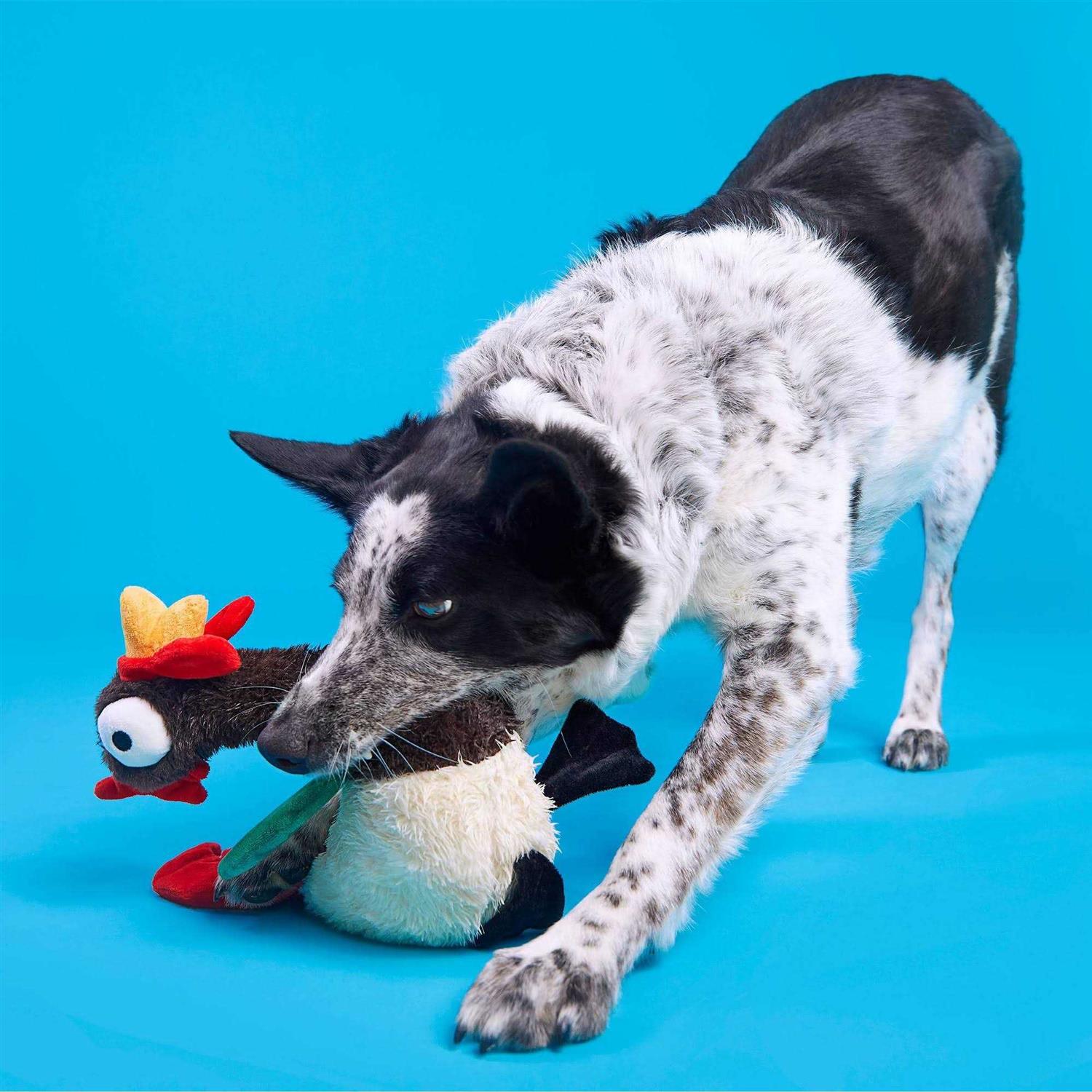 Alternative view of Bark Cock-a-Doodle-Chew Dog Toy