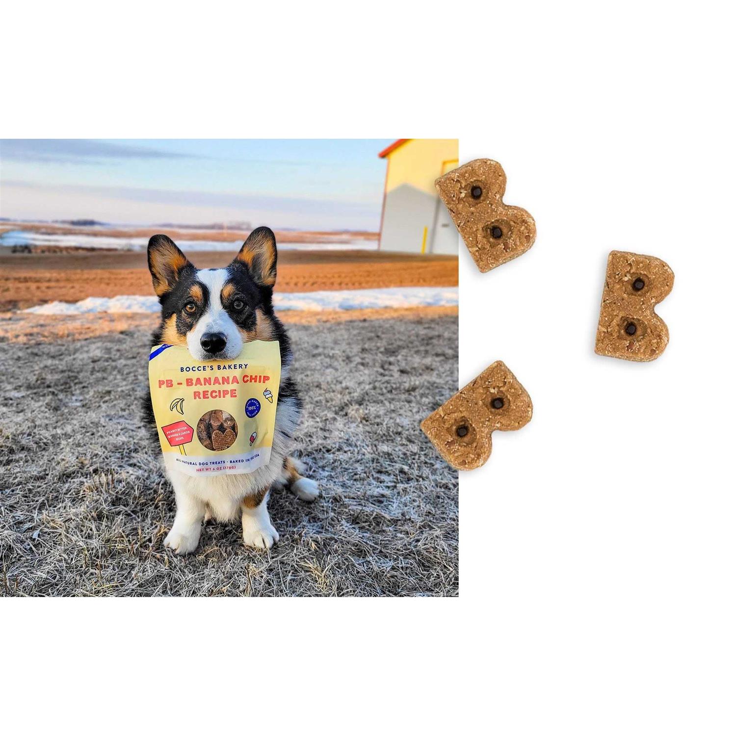 Alternative view of Bocce's Bakery PB Banana Chip Soft & Chewy Dog Treats