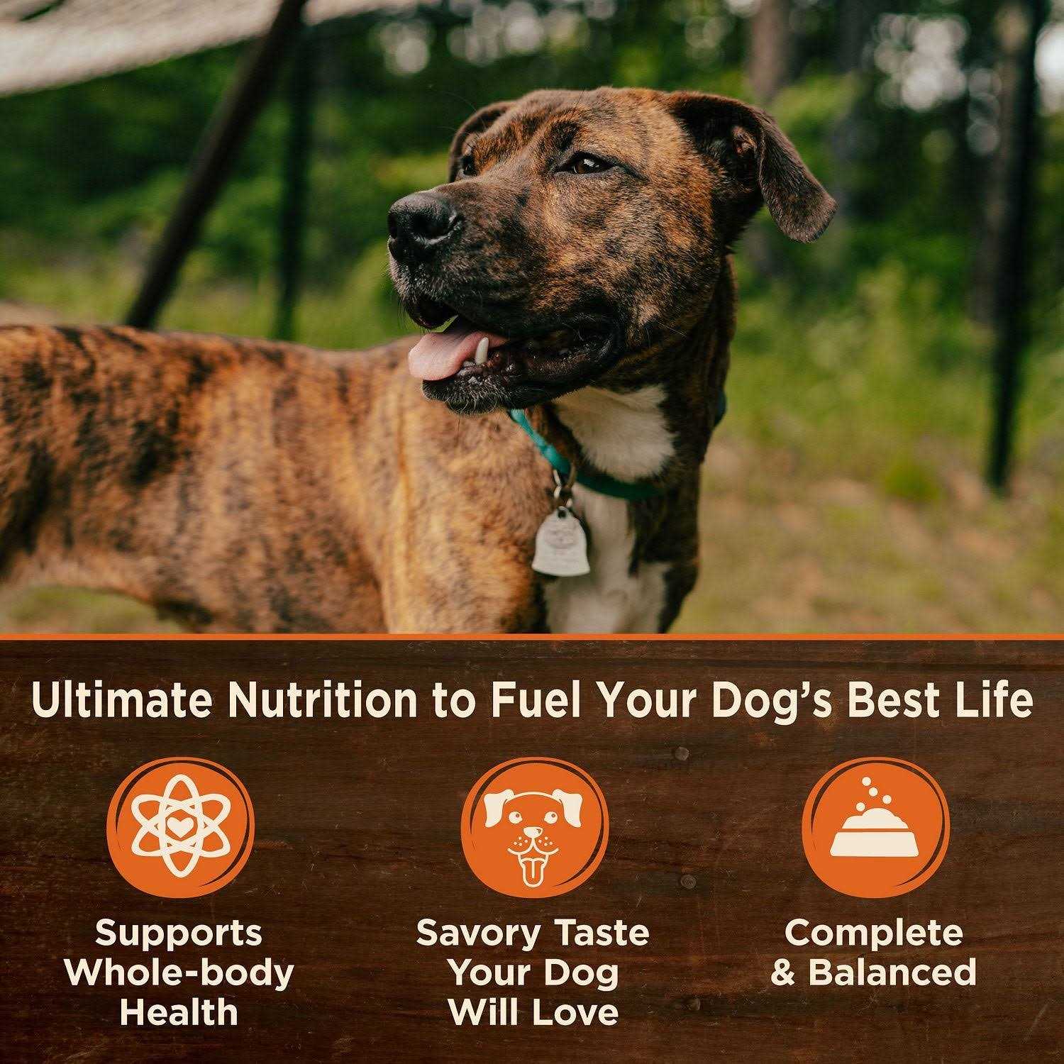 Alternative view of Wellness CORE Grain Free Natural 95% Beef and Carrots Recipe Wet Canned Dog Food