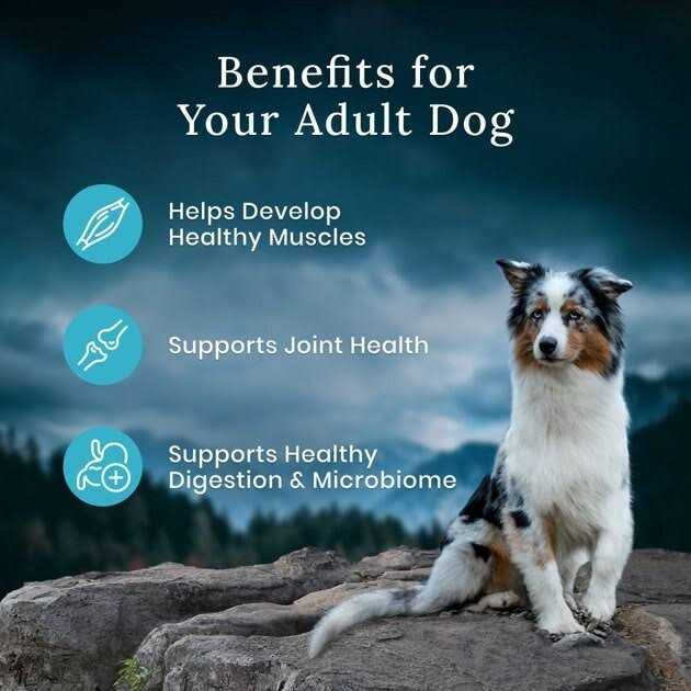 Alternative view of Blue Buffalo Wilderness Premier Blend Adult Natural Meaty Cuts Salmon Dry Dog Food