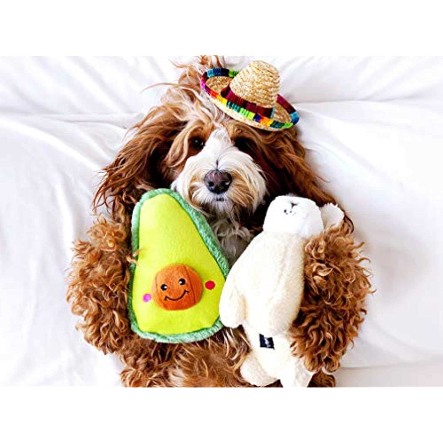 ZippyPaws NomNomz Avocado Dog Toy
