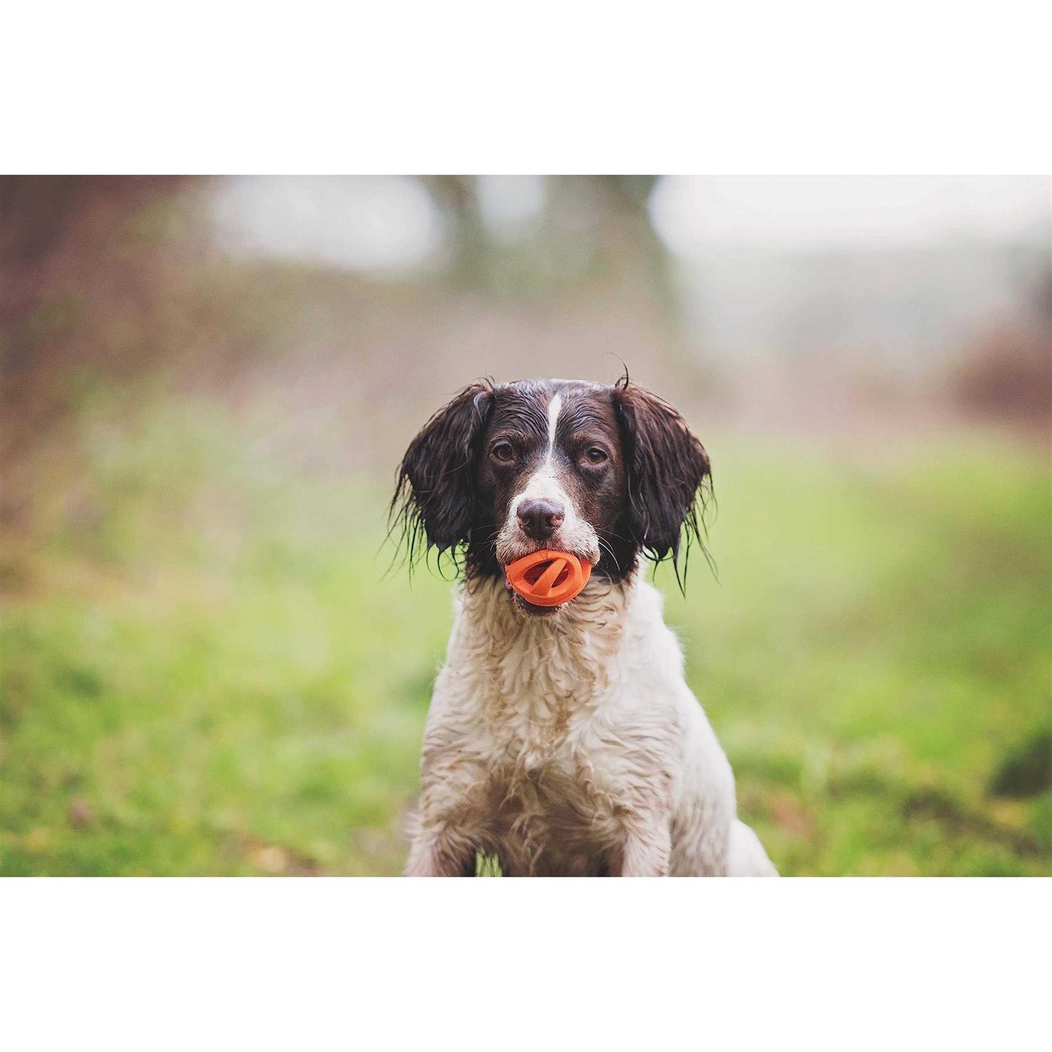 Alternative view of Chuckit! Breathe Right Fetch Ball