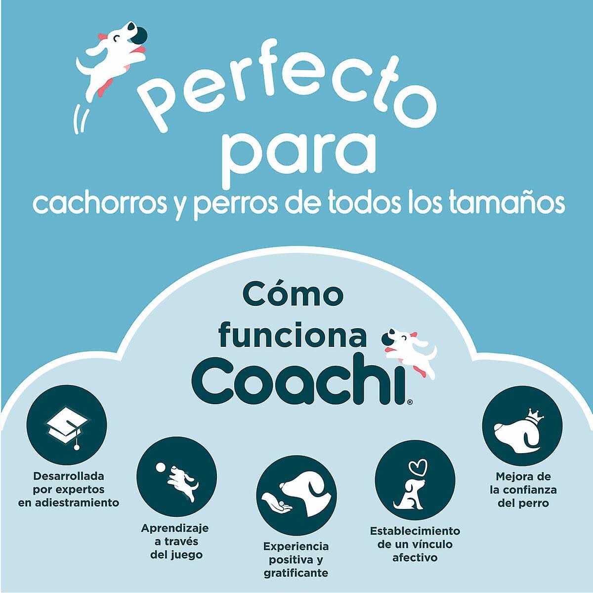 Alternative view of Coachi Fetch & Reward Dog Toy