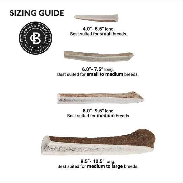 Alternative view of Bones & Chews Made in USA Elk Antler Split with Liver Flavor Dog Chew