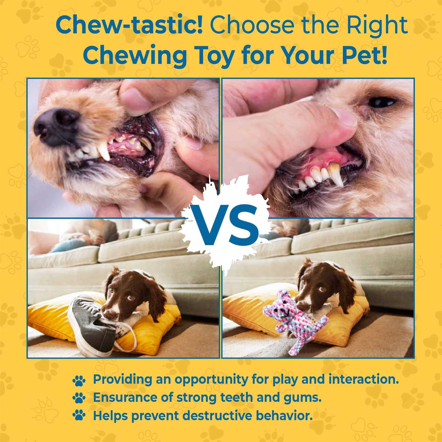 Alternative view of SunGrow Teddy Bear teething Toy, for ferret & dogs, knotted soft cotton rope material, for puppies and Small breeds