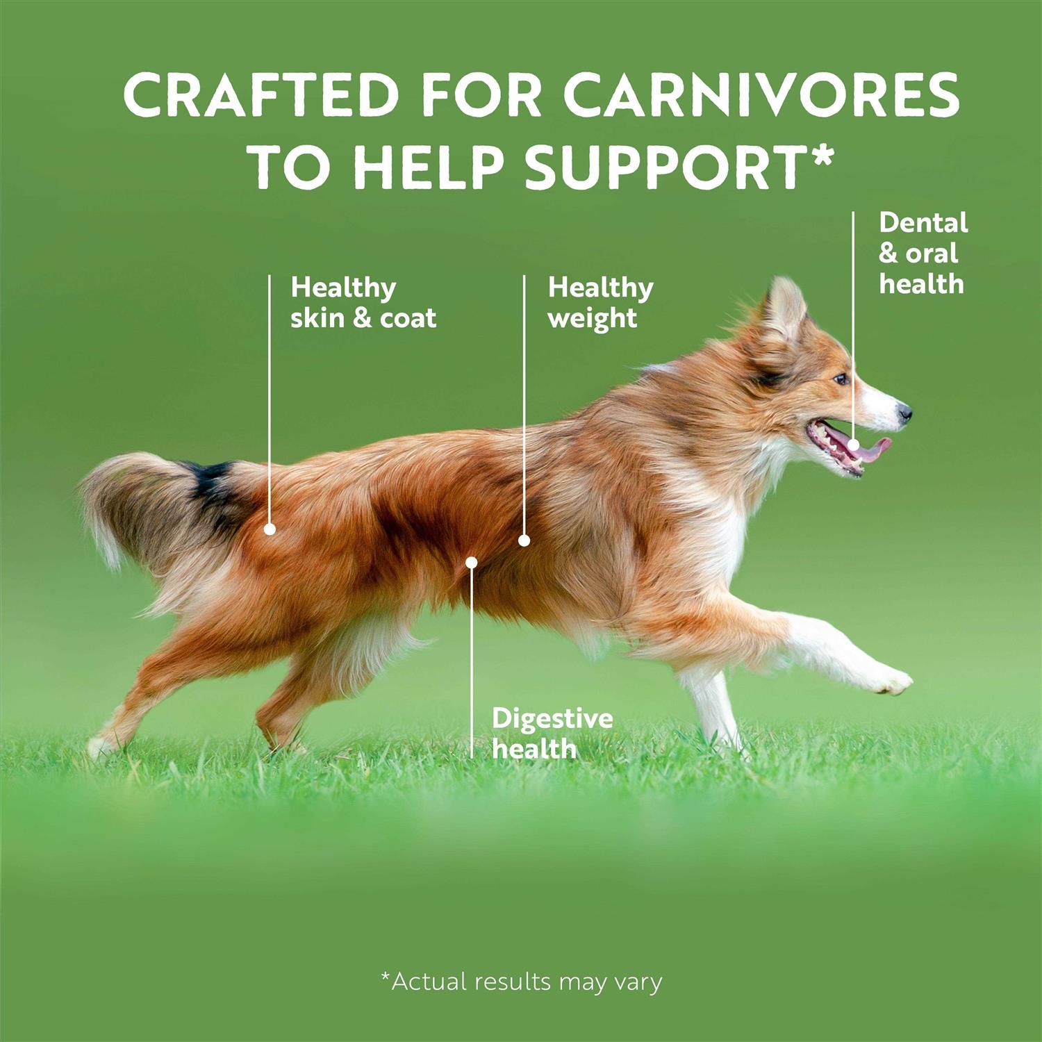 Alternative view of Ziwi Peak Recipe Canned Dog Food