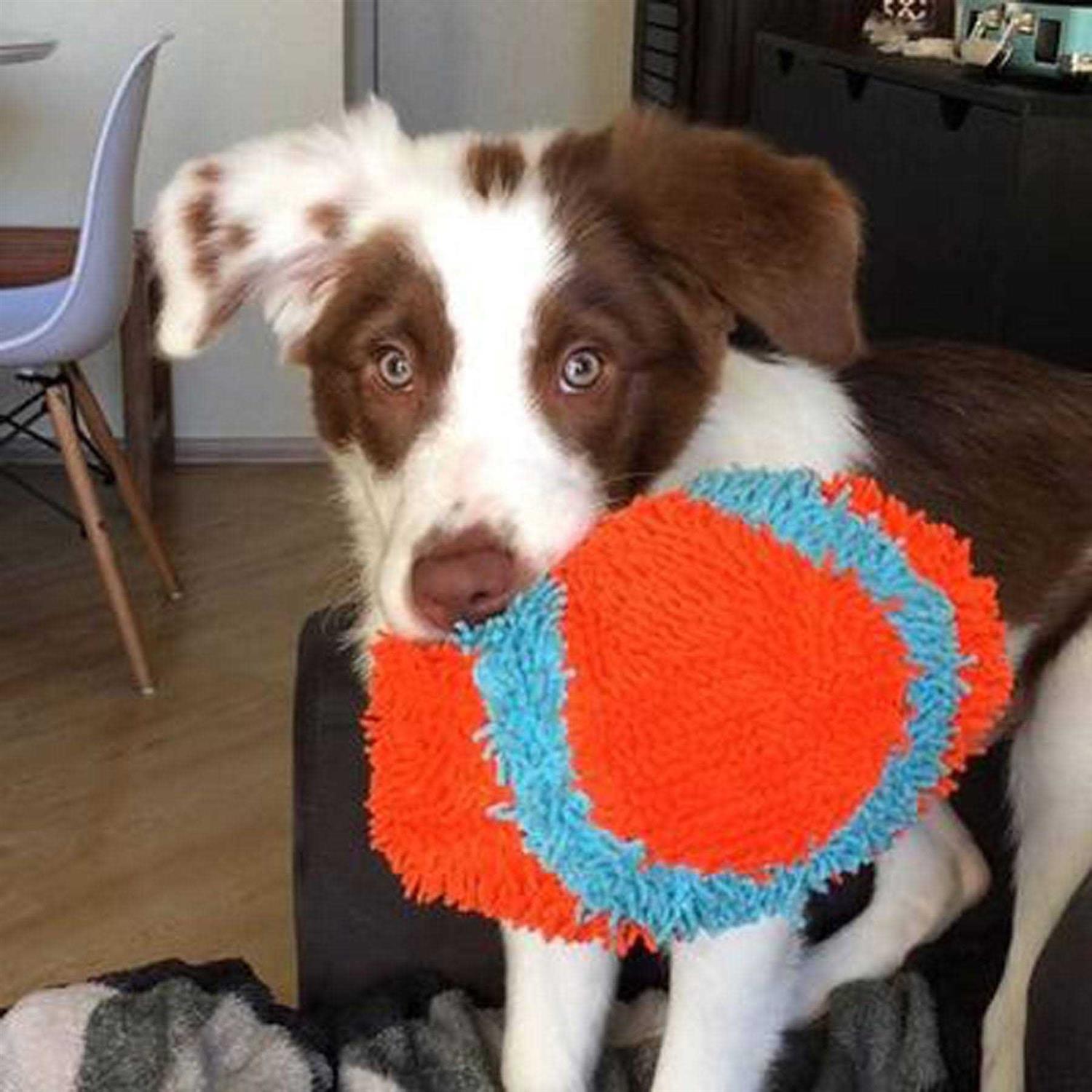 Alternative view of Chuckit! Indoor Fumbler Dog Toy