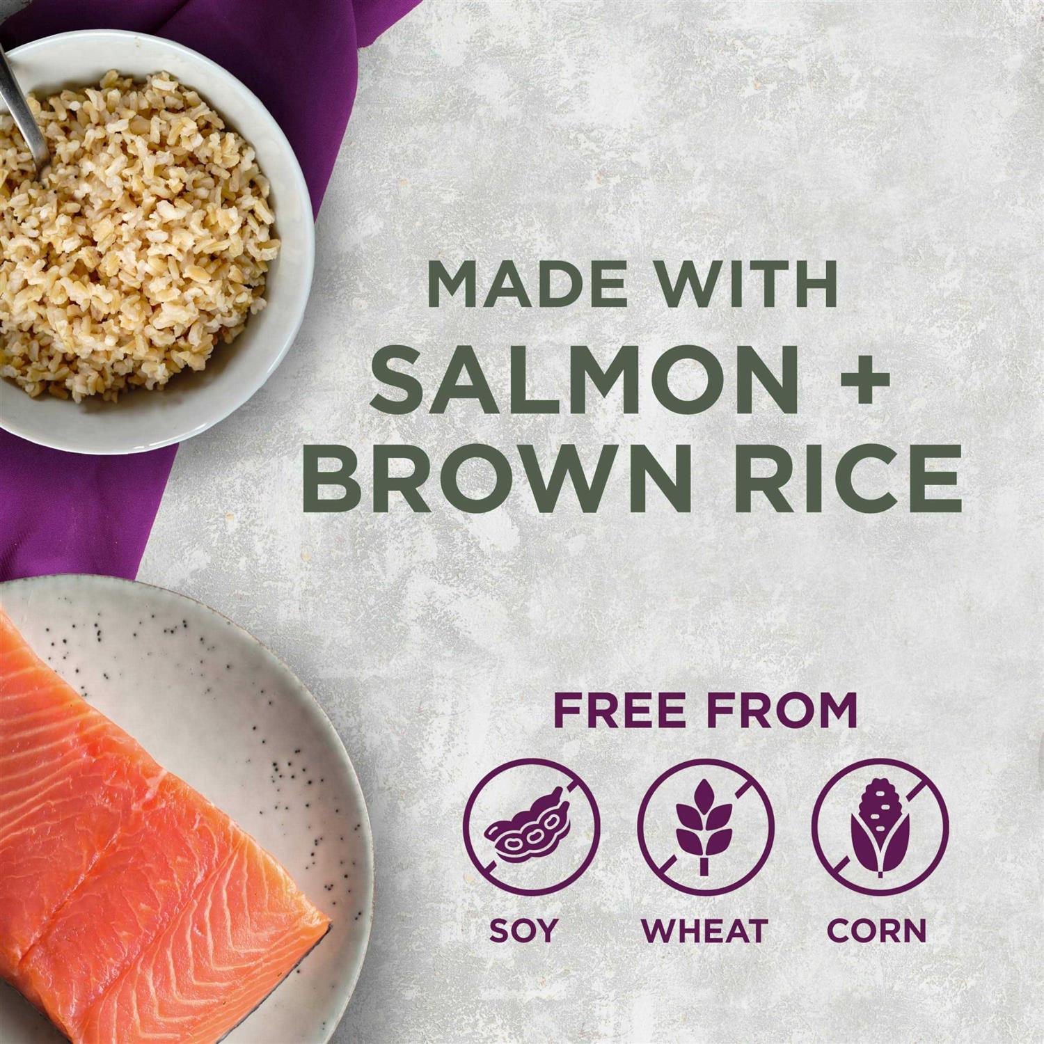 Alternative view of Blackwood Pet Food All Life Stages Special Diet