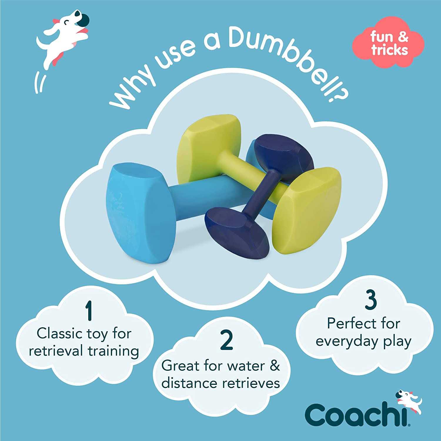 Alternative view of Coachi Dumbbell Training