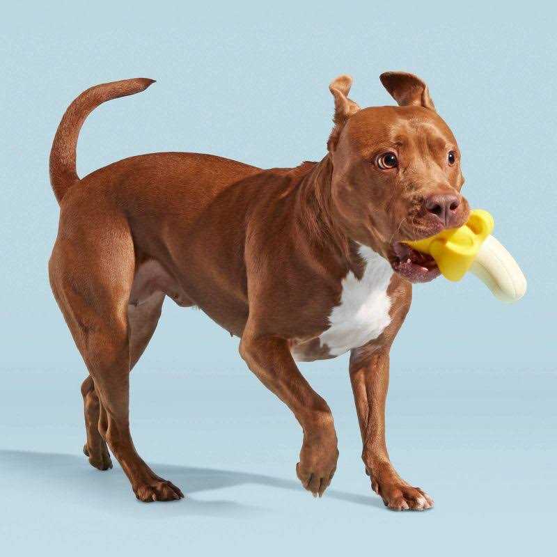 Alternative view of BARK Brawnana Super Chewer Dog Toy