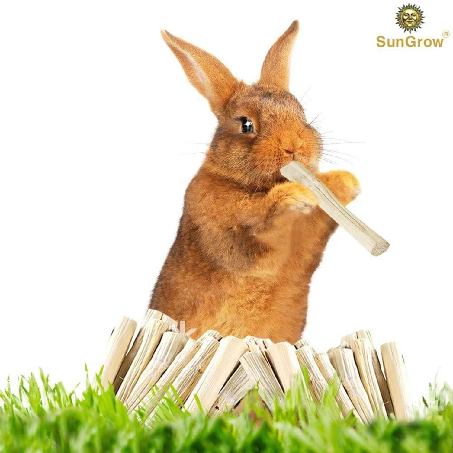Alternative view of SunGrow Sweet Bamboo Chew Sticks Small-Pet Dental Treats & Snacks